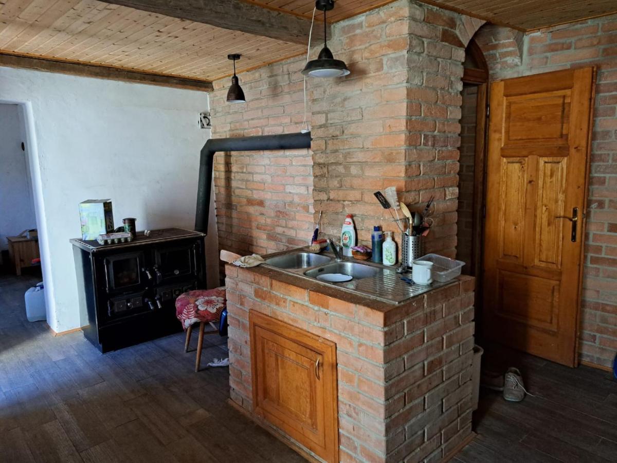 Vila Hedvika Nové Hrady Exteriér fotografie