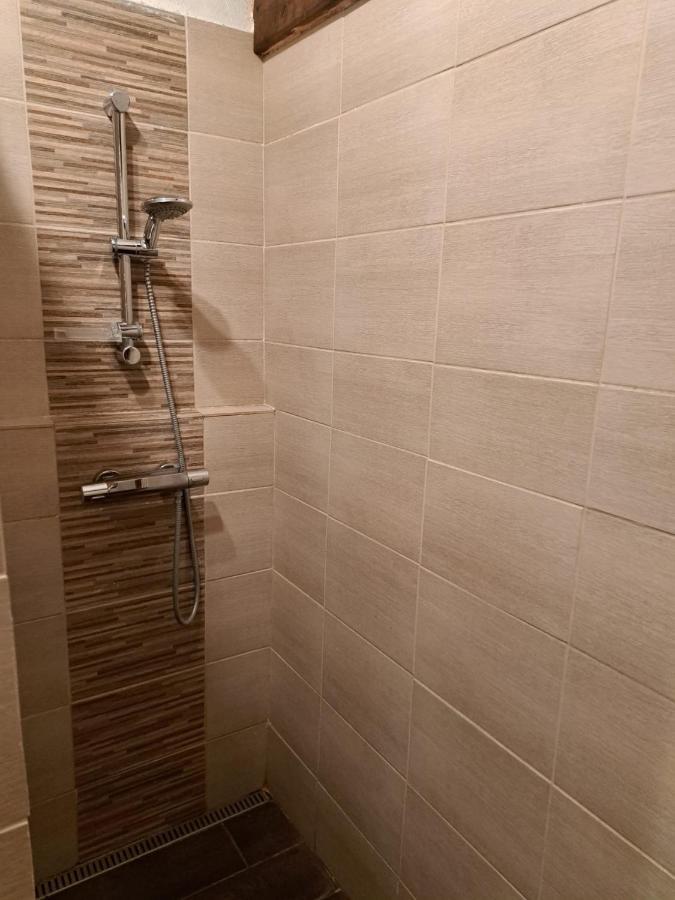 Vila Hedvika Nové Hrady Exteriér fotografie