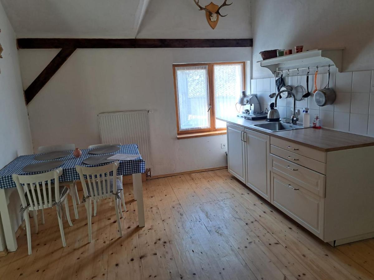 Vila Hedvika Nové Hrady Exteriér fotografie