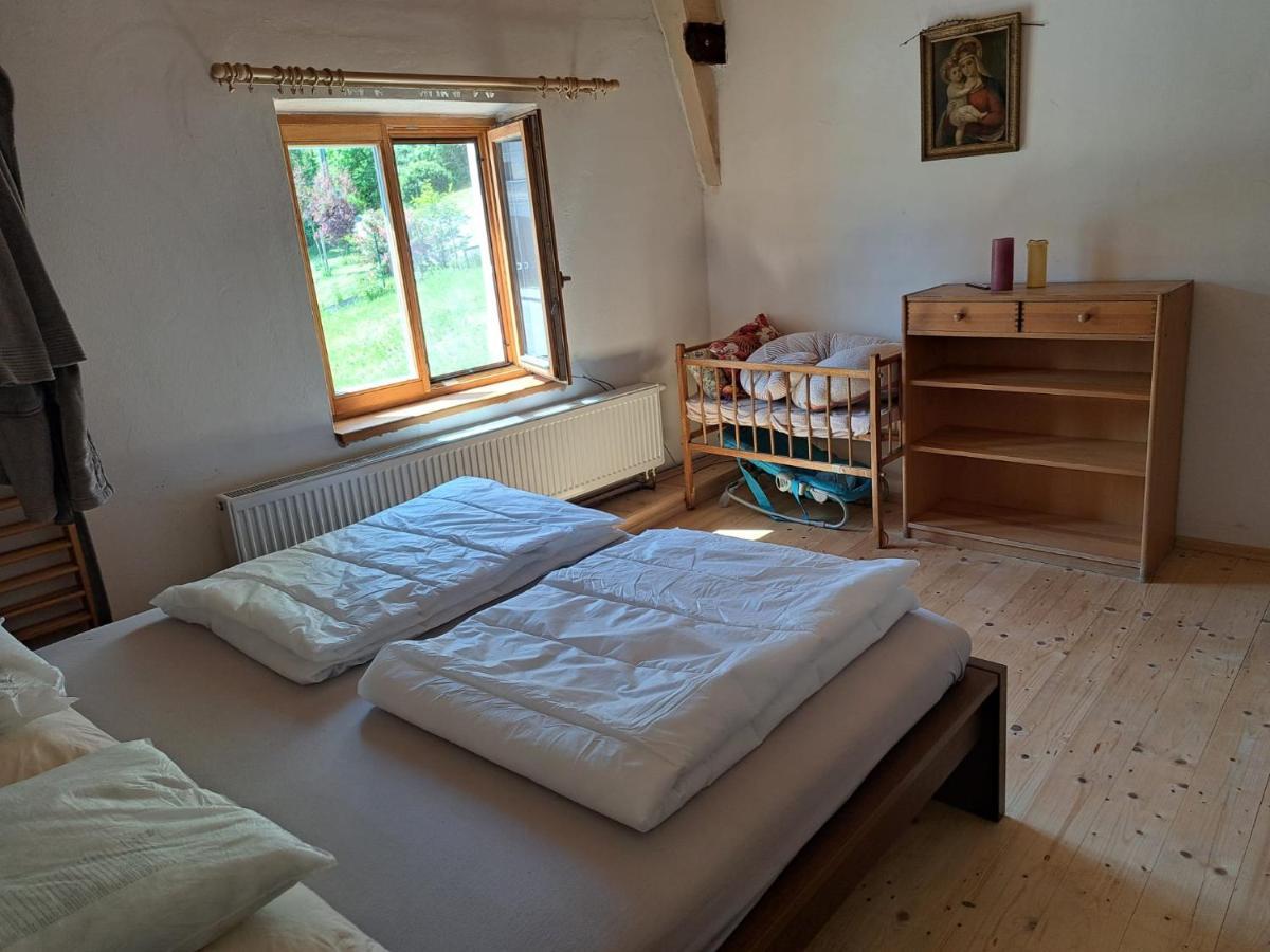 Vila Hedvika Nové Hrady Exteriér fotografie